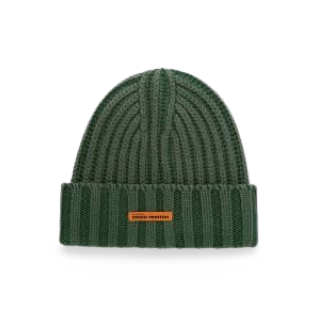 Heron Preston Ribbed Beanie Green