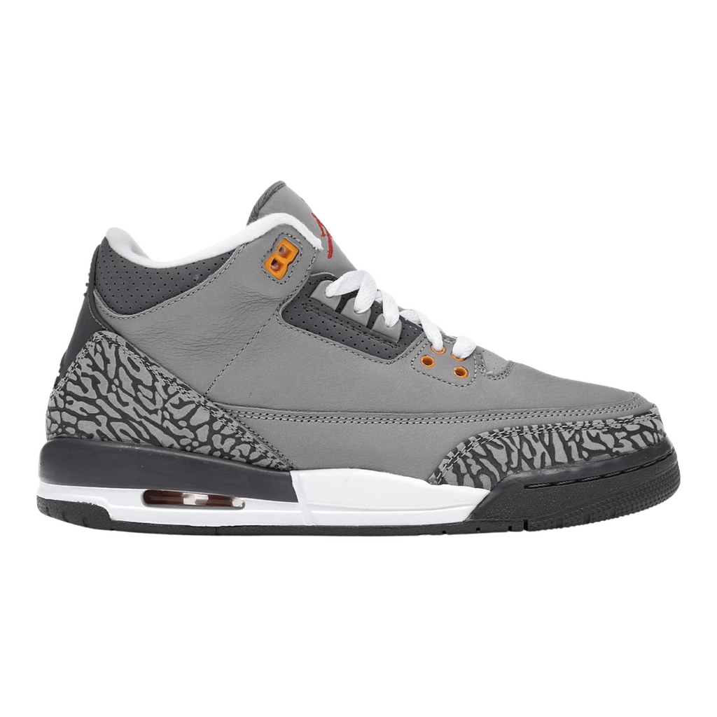 Jordan 3 Retro Cool Grey (2021) (GS)