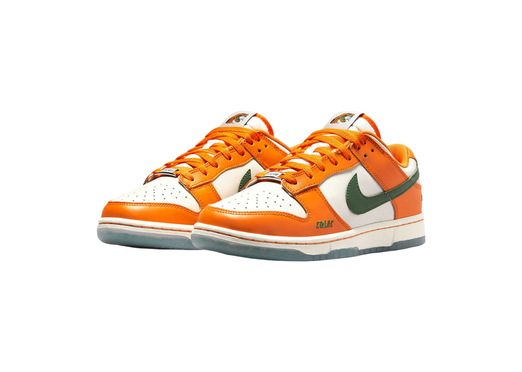 Nike Dunk Low FAMU